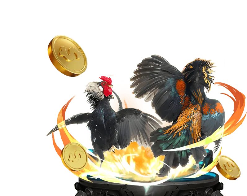 Giao diện cá cược thể thao b66